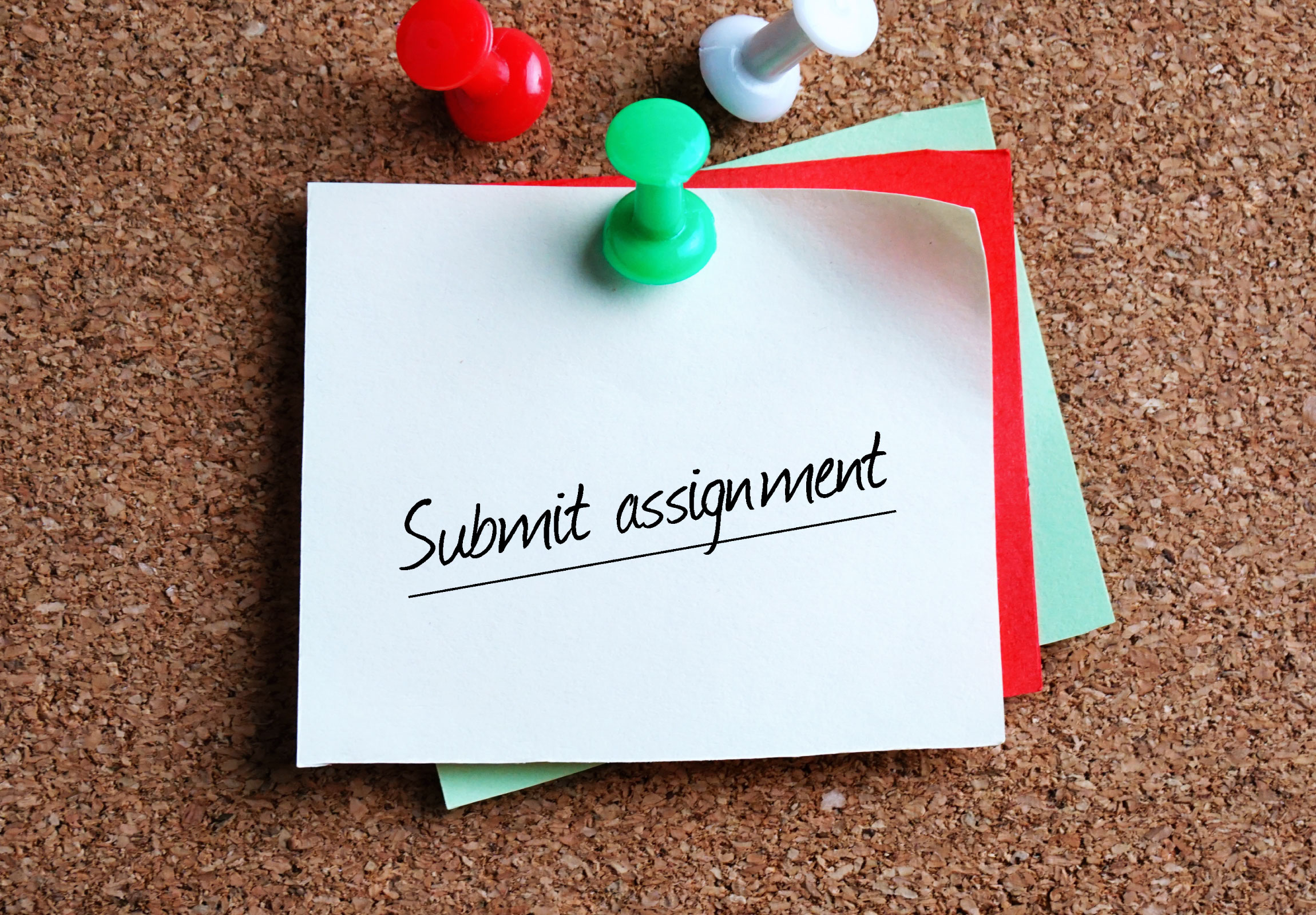 submission of assignment