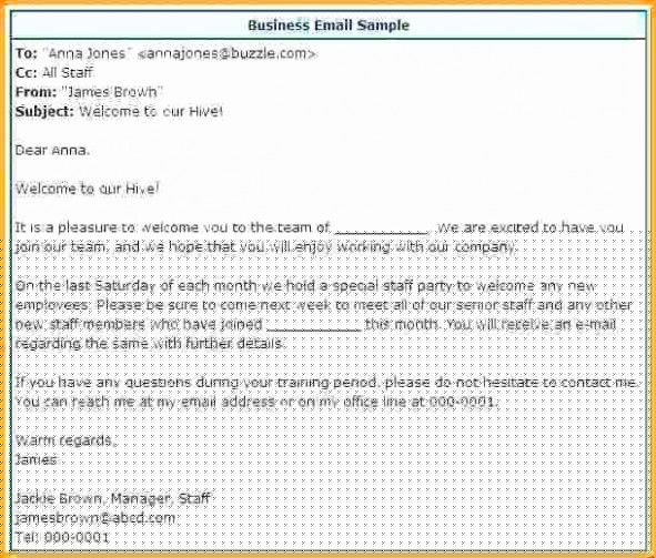 team lunch email